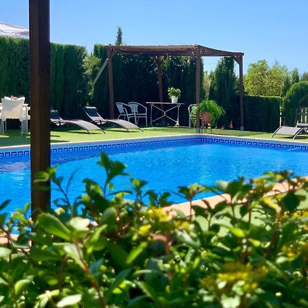 Torcales Del Lobo Apartamentos Rurales Посо-Алькон Экстерьер фото