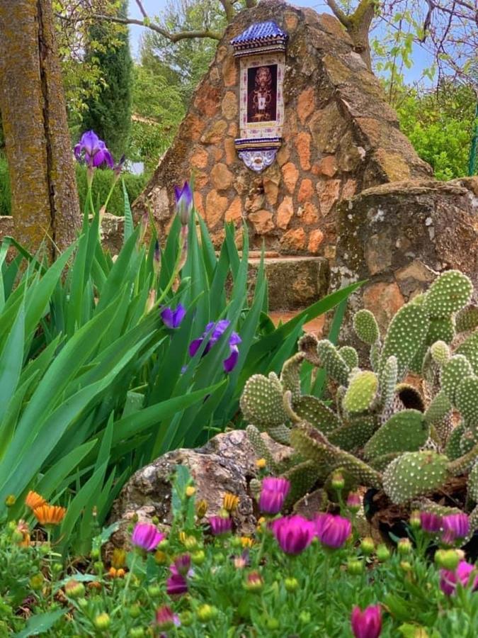 Torcales Del Lobo Apartamentos Rurales Посо-Алькон Экстерьер фото